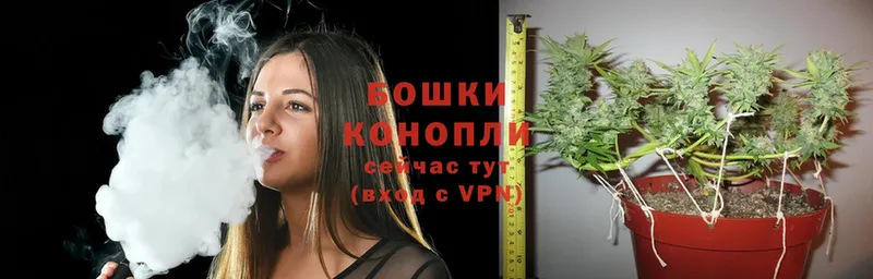 shop официальный сайт  Вяземский  Шишки марихуана тримм  как найти закладки 